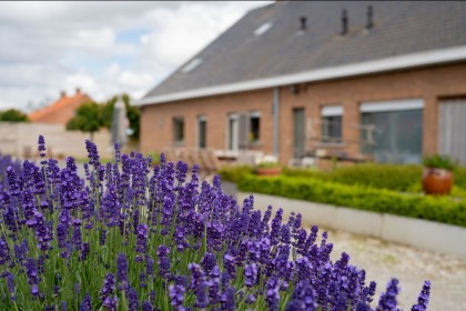 Onze vakantiewoning