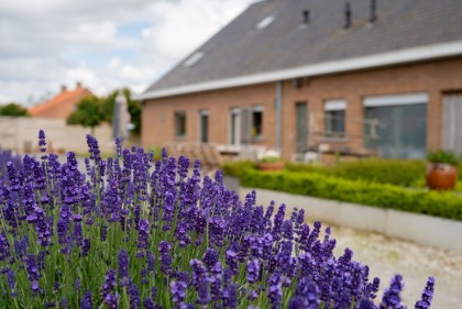 Vakantiehoeve Hill 44 - buiten