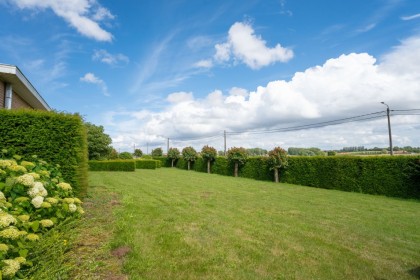 Vakantiehoeve Hill 44 - buiten